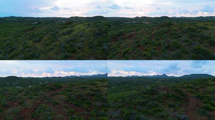 无人机视差环绕着仙人掌和芦荟在加勒比海岛上干燥干旱的山丘上飞行，房屋在后面蔓延