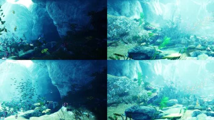 海底 裸眼  海底世界 水下摄影