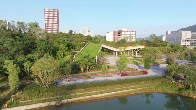 深圳技术大学 横塘水生态海绵综合示范园