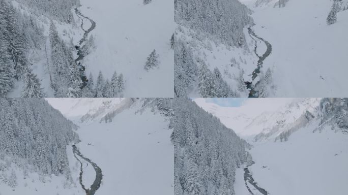 壮丽的冬季山景。冬日里的雪雨森林和阳光树。