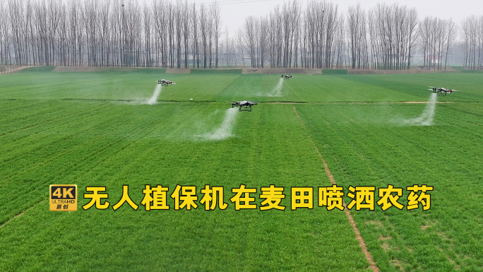 无人机编队在农田喷洒农药