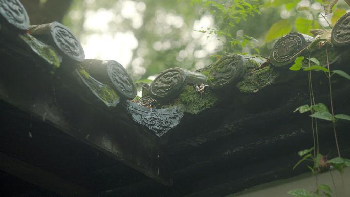 江南园林雨中的韵味美感