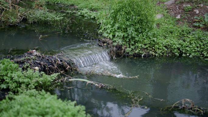 污水排放处理 水污染 臭水沟 环境污染