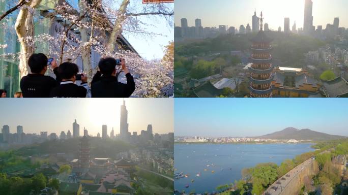 南京玄武区玄武湖景区古鸡鸣寺樱花盛开风景