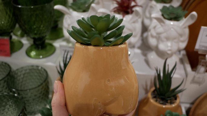 仙人掌植物在一个陶罐形状的女性形象。店里的家居装饰。给朋友、姐妹、母亲的不寻常的原创礼物。