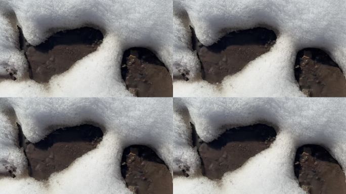 瞥见一条小溪穿过白雪覆盖的地面，暗示着从冬天到春天的过渡。