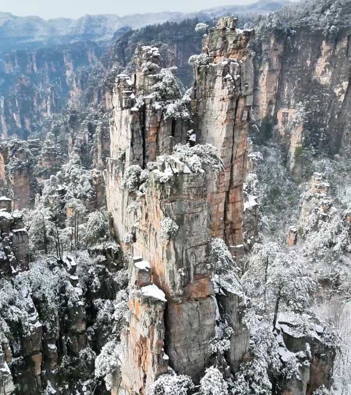 天子山雪景 竖屏