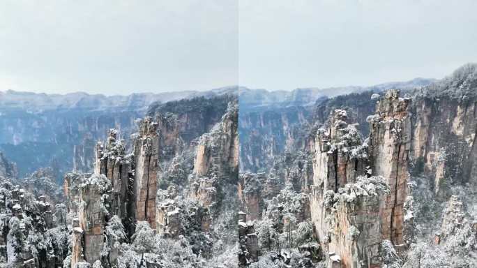 天子山雪景 竖屏