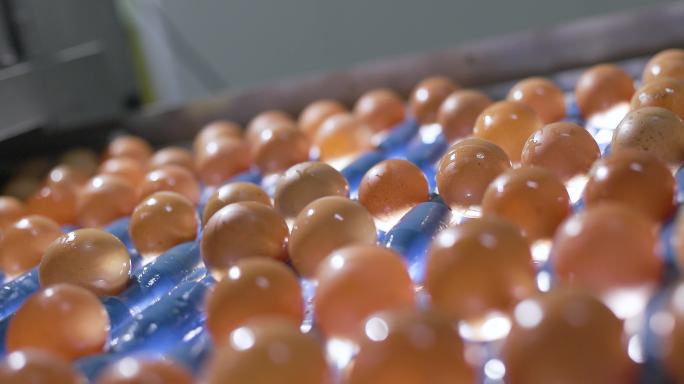 4k鸡蛋液蛋自动化检测分拣包装仓库生产线