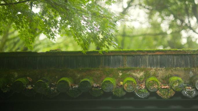 江南园林雨中的韵味美感