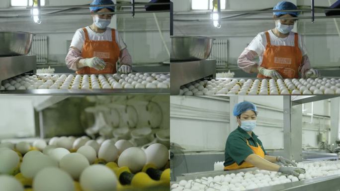 4k鸡蛋自动化检测分拣包装仓库工人生产线