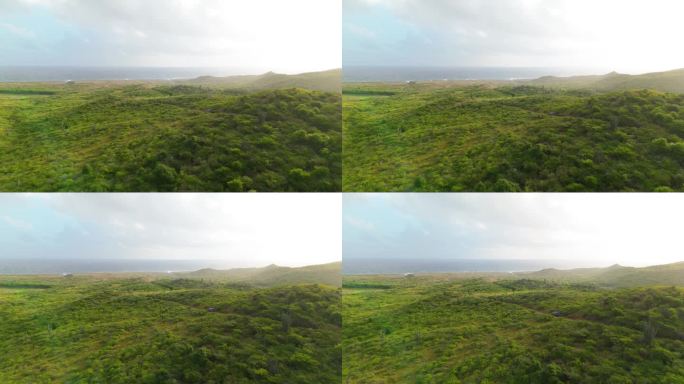 黄金时间朦胧的光芒蔓延在加勒比海沿海岛屿上充满活力的翠绿色山丘，神秘的地平线航拍摄影
