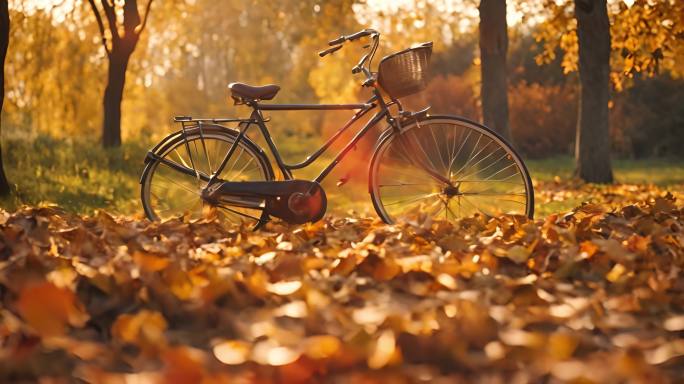 秋日落叶自行车