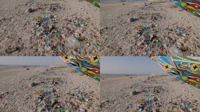 摇上。山羊在海边吃垃圾。可怕的塑料污染。