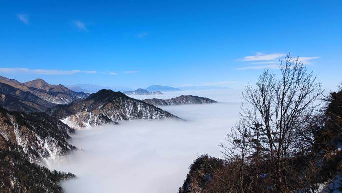 西岭雪山云海4k