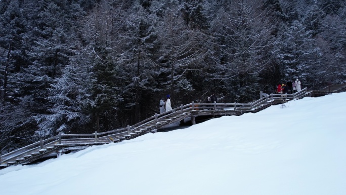 黄龙雪景