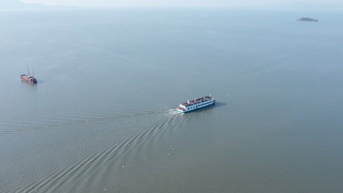 无锡鼋头渚游船海鸥航拍