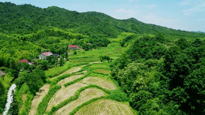 青山公路农村乡下田野竹林高速公路开阔大道