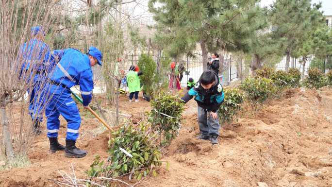 生态环境 教学实践 青少年种树 植树节