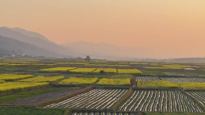 陇川县户撒乡春日的田野开满油菜花