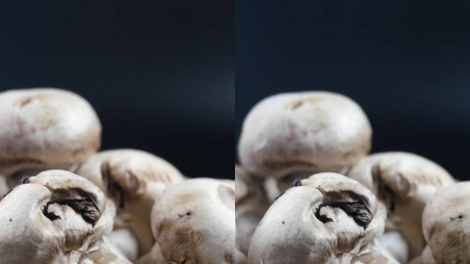 垂直拍摄新鲜香菇黑色背景