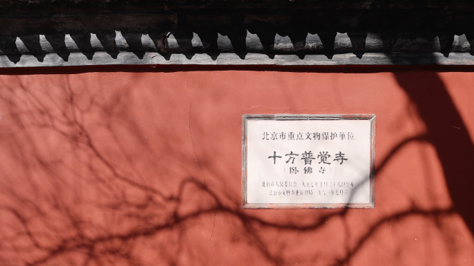 【4K】北京卧佛寺