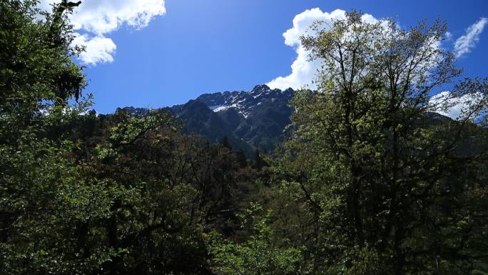 远望南迦巴瓦峰