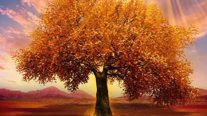 唯美大气的秋天大树