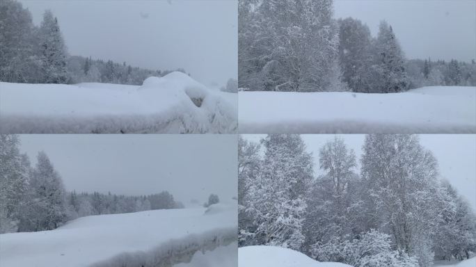 大雪纷飞的森林 雪花飘舞 冬天 下大雪