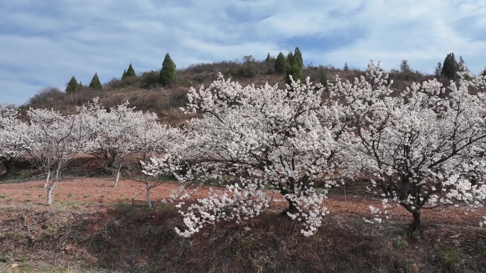 樱桃沟高台00000228