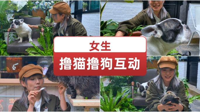 女生撸猫撸狗互动 大学生玩猫玩狗宠物博主