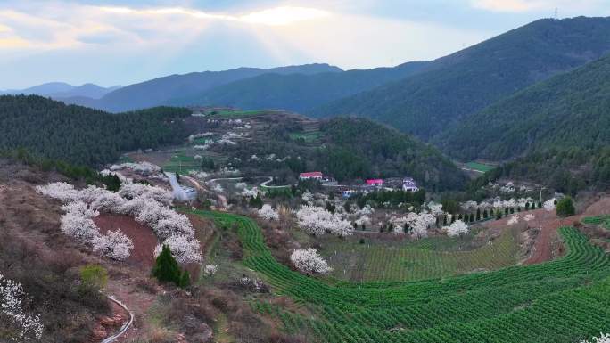 樱桃沟高台00000510