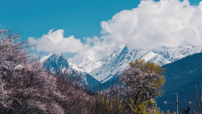 西藏风光延时合集4K高清