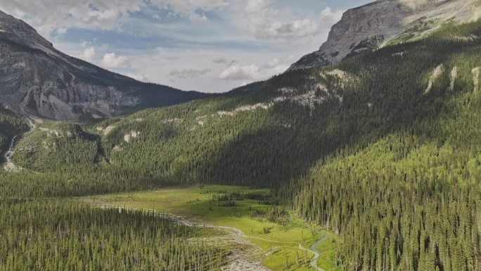 翡翠湖BC加拿大空中v2飞越河流，捕捉常绿森林，Yoho国家公园和夏季瓦普塔山峰的令人惊叹的景观-用