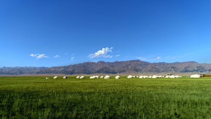 4K航拍 新疆赛里木湖草原羊群