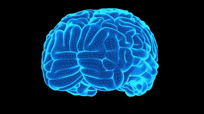 蓝色科技大脑 智慧 人工智能三维 可循环