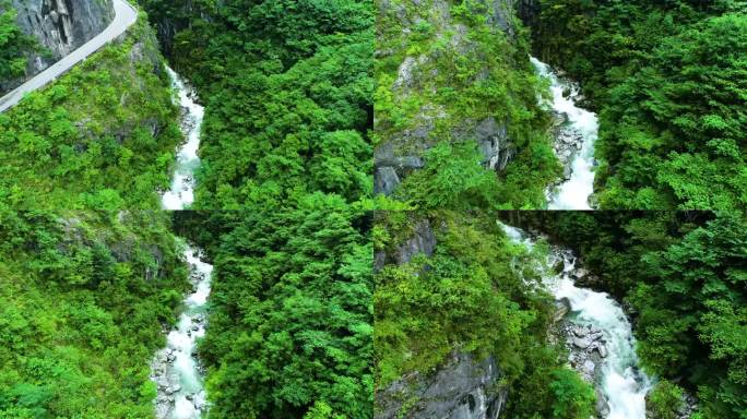 镇坪河流黄连农业山河风景