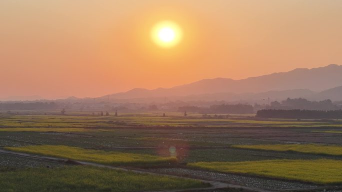 云南陇川县户撒乡坝子里种着油菜花