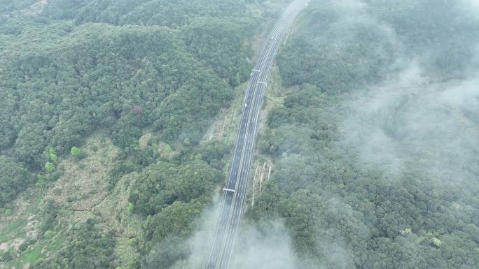 云雾下的高速公路俯拍森林公路云雾缭绕山区