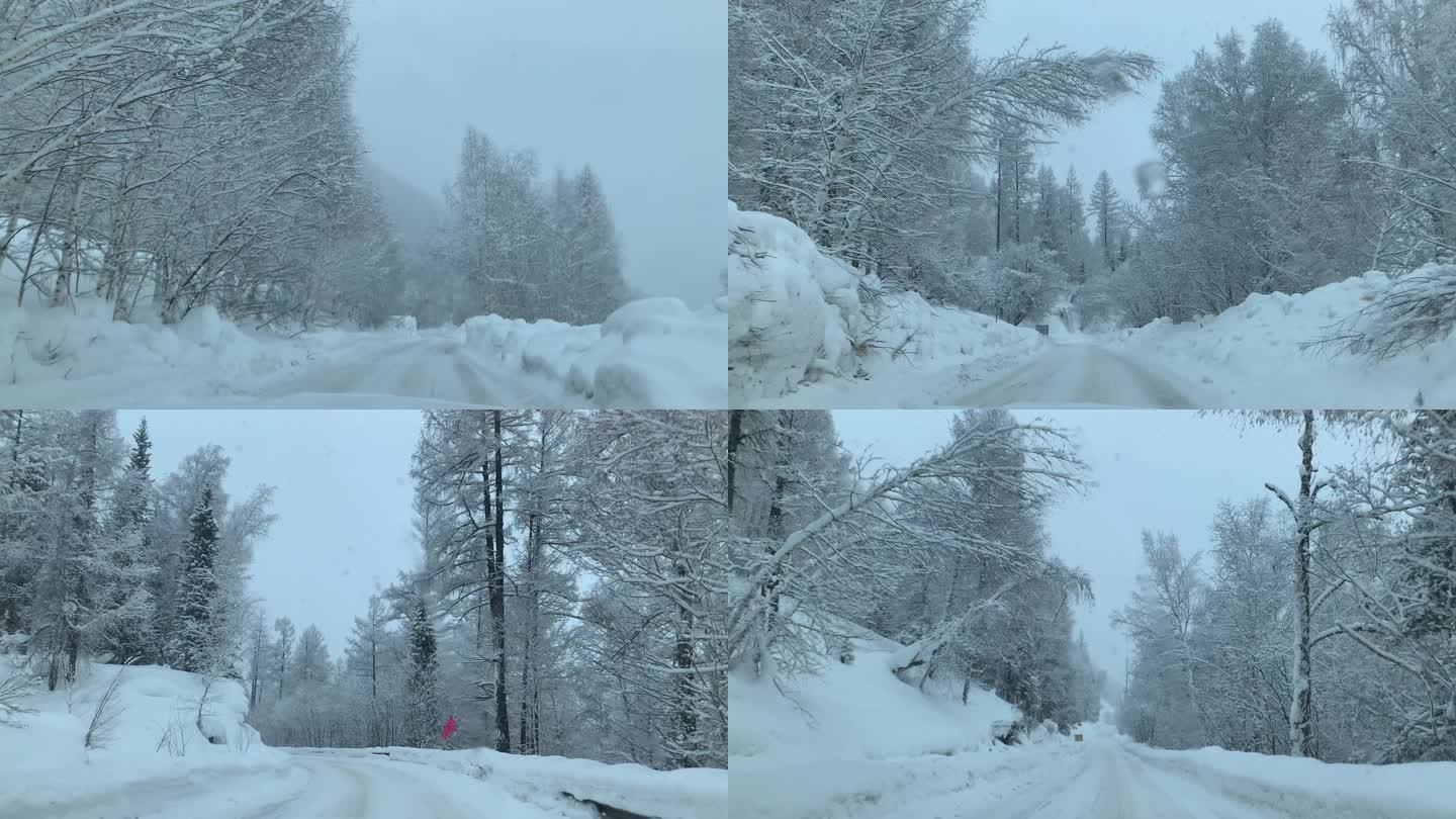 车内视角的白雪皑皑雪景 行驶中的雪景