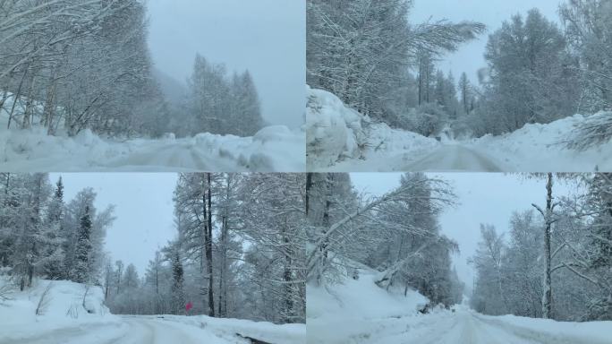 车内视角的白雪皑皑雪景 行驶中的雪景