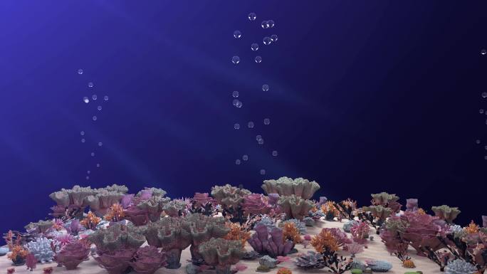 珊瑚 珊瑚礁 珊瑚虫 海底 水