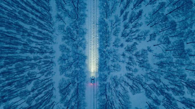 汽车行驶在林海雪原