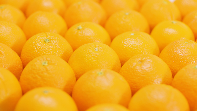橙子脐橙柑橘水果素材（黄色背景）