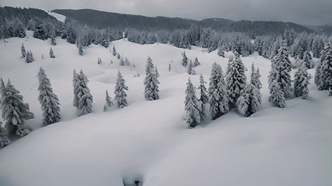 冬季亚冬会雪花特写冰雪花特写