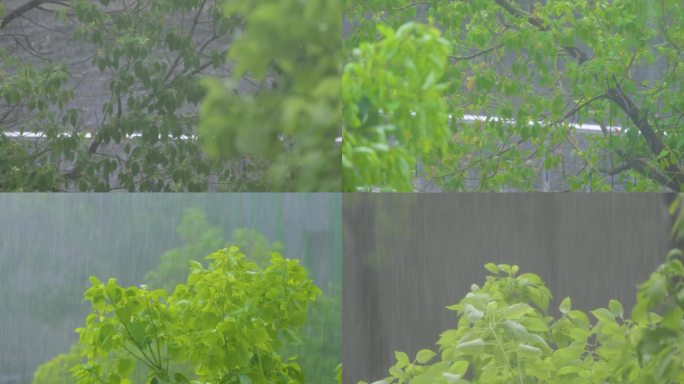 城市下暴雨倾盆大雨下雨天雨水雨滴植物树叶