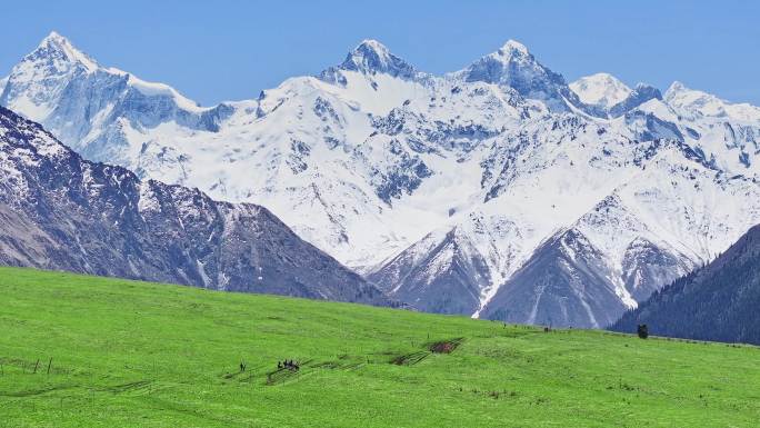 航拍新疆夏塔雪山草原森林合集