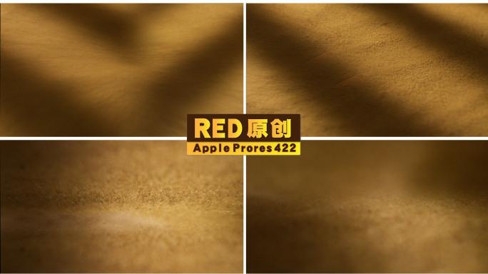 「RED拍摄」风吹金色沙粒