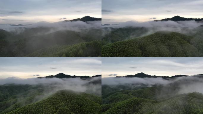 仙境般云雾缭绕的翠绿山峰