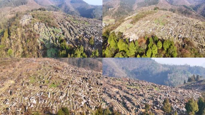 山顶荒漠化水土流失